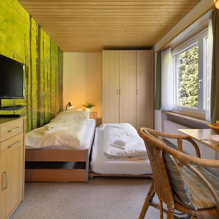 Apartment Promenade Apt 414 By Interhome * Arosa